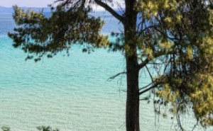 Paradise Kriopigi hotel 3* – Касандра – Халкидики закуски и вечери